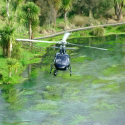 맑고 푸른 물빛이 인상적인 블루스프링