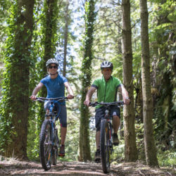 Waikato River Trails