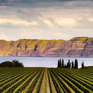 Elephant Hill Winery on the Te Awanga Coast in the Hawke's Bay is home to an award-winning restaurant and world-class wines.
