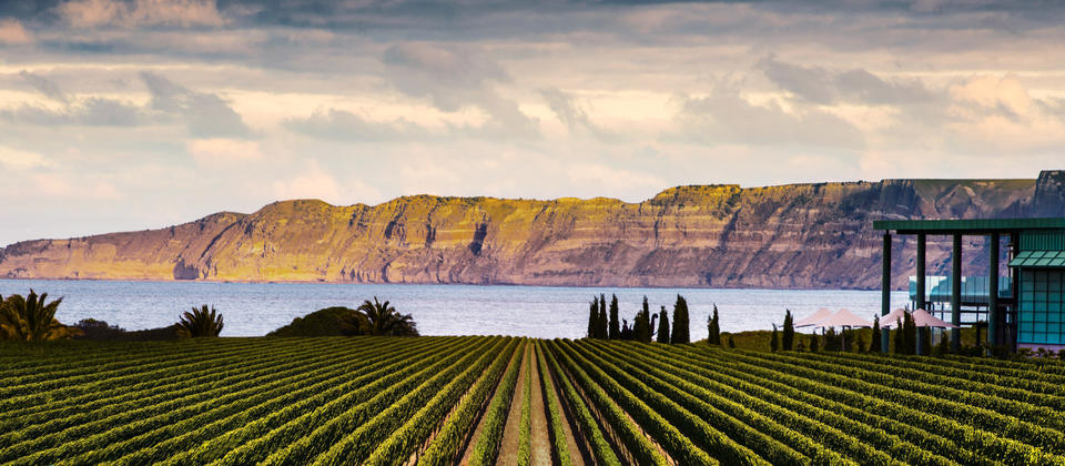 Elephant Hill Winery on the Te Awanga Coast in the Hawke&#039;s Bay is home to an award-winning restaurant and world-class wines.