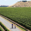 Take a cycling tour around the vineyards in Hawke's Bay