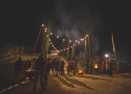 Hawke S Bay Attractions 100 Pure New Zealand