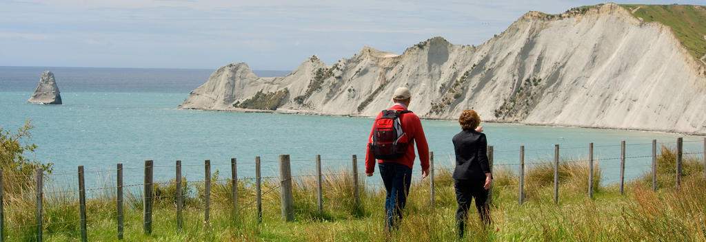 Cape Kidnappers is an extraordinary sandstone headland, home to to the largest and most accessible gannet colony