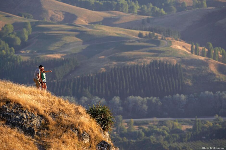 Watch Hawke's Bay life moving along from the lofty nature trails of Te Mata Peak.