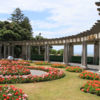 Die idyllischen Gärten in Napier laden zu einem beschaulichen Spaziergang ein.