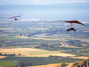 For the best view of the Hawke’s Bay, you can strap yourself to a hang glider or drive to the top of Te Mata Peak.