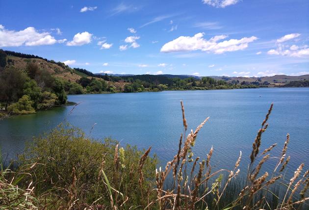 Lake tutira