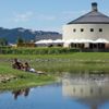 The Hawke's Bay is famous for its wineries. After a morning of shopping, relax over a glass of award-winning merlot in the sunshine.