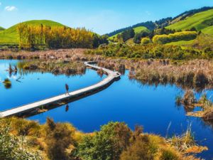 Pekapeka Wetlands