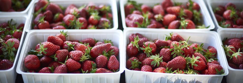 新鲜草莓是可以在农场大门买到的众多水果种类之一。