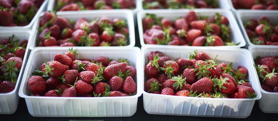 Fresh strawberries, one of the many fruits sold fresh from farmers' gates.