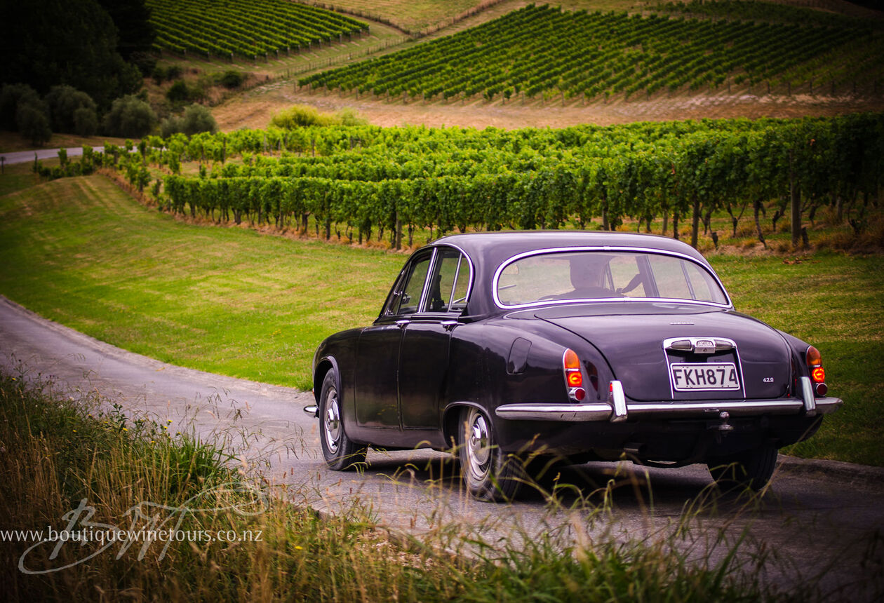 Die Orientierung in Neuseeland ist einfacher, wenn jemand anders am Steuer sitzt. Lehne dich zurück und genieße einfach die Aussicht.
