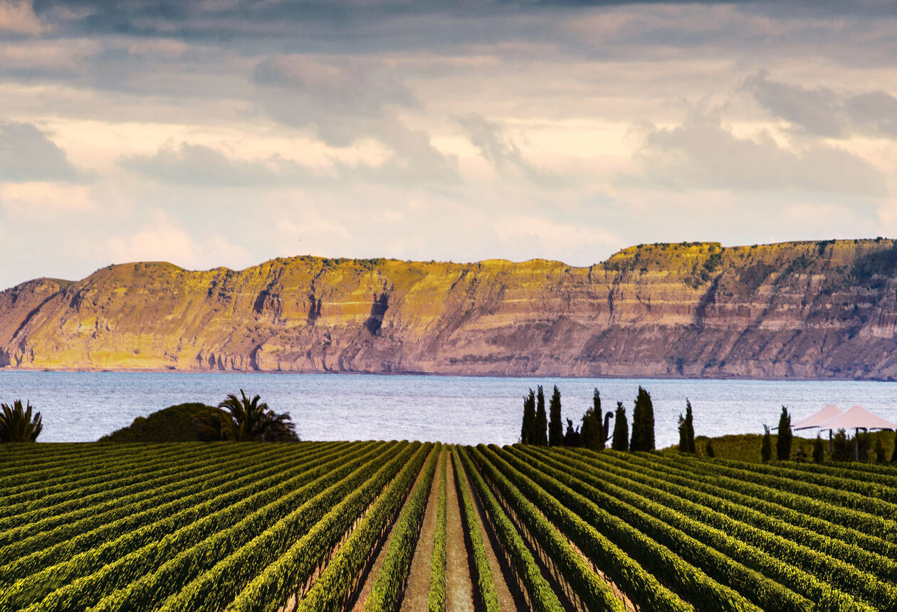 Te Awanga is a beachside settlement in sunny Hawke's Bay. It's handy to Cape Kidnappers, a popular spot for both golf lovers and bird watchers.