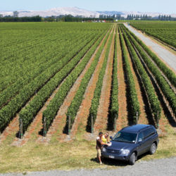 One of Hawke&#039;s Bay&#039;s most famous sub-regions, Gimblett Gravels produces excellent red wines - you simply can&#039;t leave here without trying its syrah.