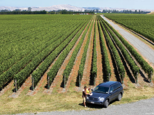 One of Hawke&#039;s Bay&#039;s most famous sub-regions, Gimblett Gravels produces excellent red wines - you simply can&#039;t leave here without trying its syrah.