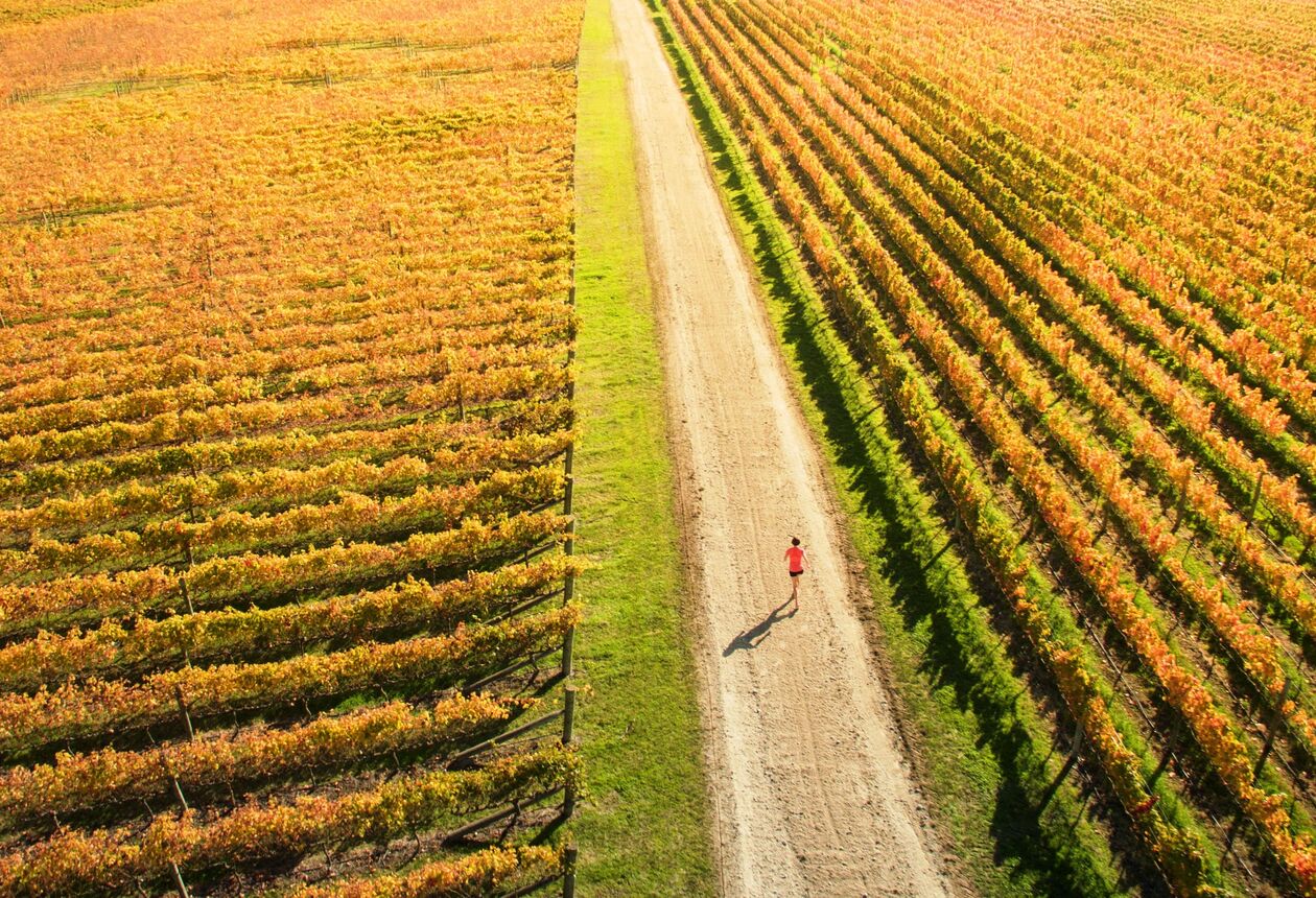 Explore our curated guide to the must-see events and start planning your next great adventure.