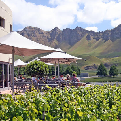 Views of Te Mata Peak at Craggy Range Vineyard, Hawke&#039;s Bay