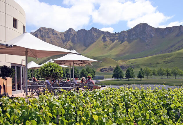 Hawke’s Bay’s amazing wine variety, especially full bodied reds, attracts connoisseurs from around the world. Discover Hawke's Bay wineries and cellar doors and sample some of New Zealand's best wines.