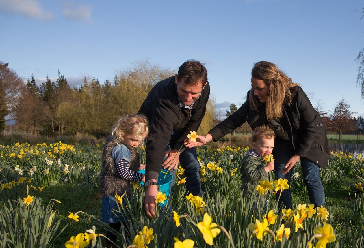 If it’s a nice day as you’re driving through Waipukurau, check out the local airport. This is where gliders and hot air balloons come out to play.