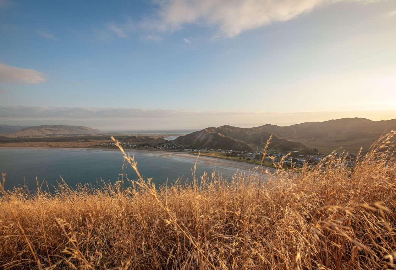 You'll find every kind of beach around the edges of Māhia Peninsula - sandy coves, rocky bays and long expanses of surf coast.