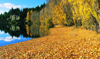 这条步道在秋天格外迷人，在树木映衬下的小河变成了鲜艳的橙色。