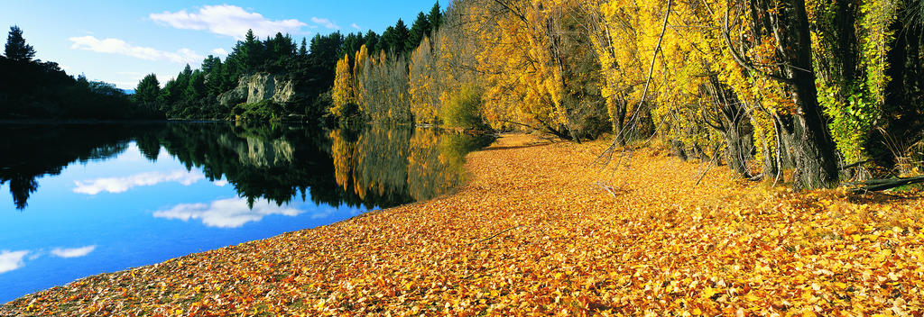 周囲の木々が鮮やかなオレンジ色に彩られる秋のクルーサ川
