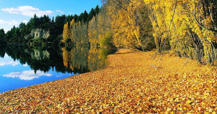 This track is especially stunning in Autumn, when the trees lining the river turn bright orange.