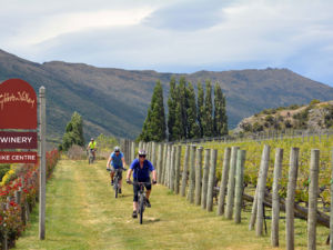 The stunning Central Otago countryside provides an awe-inspiring backdrop for a ride from the winery.