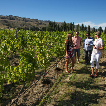 Central Otago vineyards