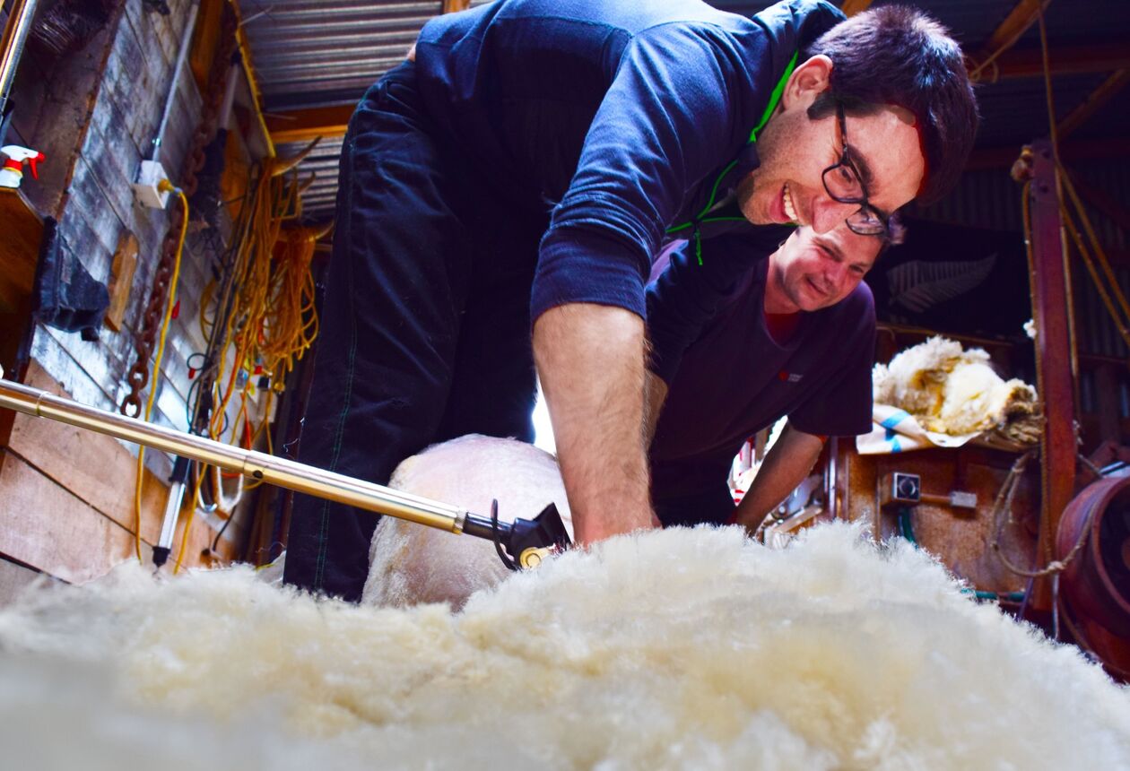 Neuseeland ist ein wunderbarer Ort, um Freiwilligenarbeit zu leisten. Vor allem, wenn du Naturliebhaber bist.