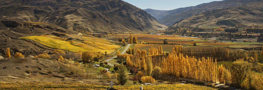 Mt Difficulty Wines is located in Bannockburn, well within an hour's drive of both Queenstown and Wanaka.