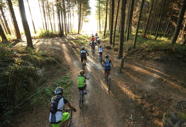 레이크타우포 지역의 아름다운 경치를 배경으로 국제적인 사이클 및 산악자전거 트레일이 다양하게 조성돼 있다.