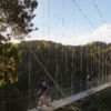 Large suspension bridges are a highlight of this back country ride through native forest.