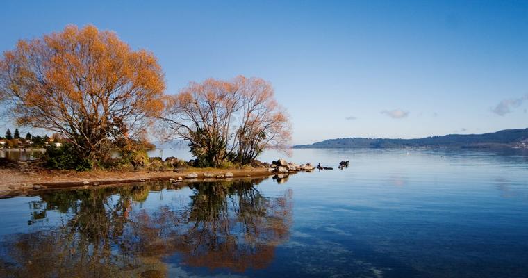 Lake Taupo is beautiful in autumn.