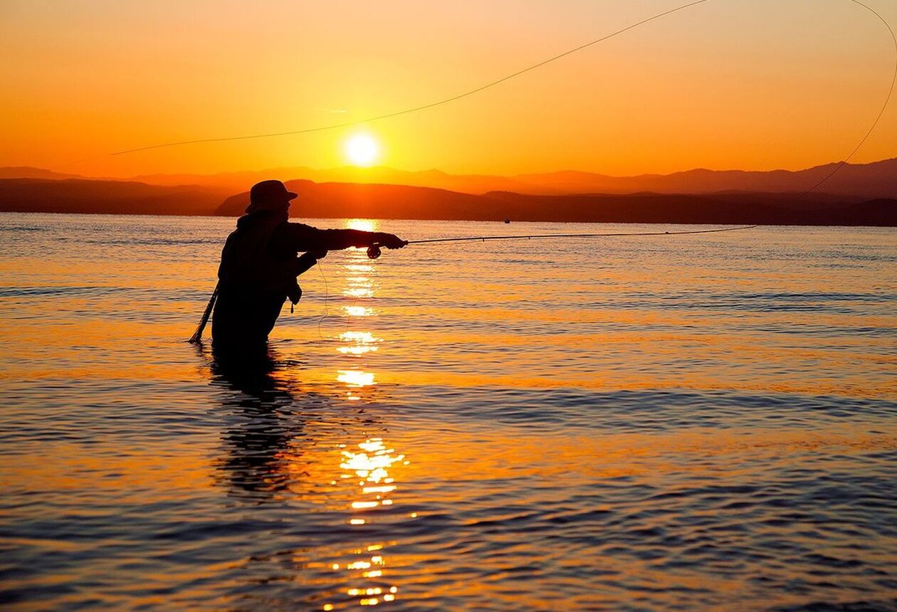 The North Island is home to famous fly fishing destinations, Lake Taupō and Tongariro River. There are many opportunities to catch rainbow trout.