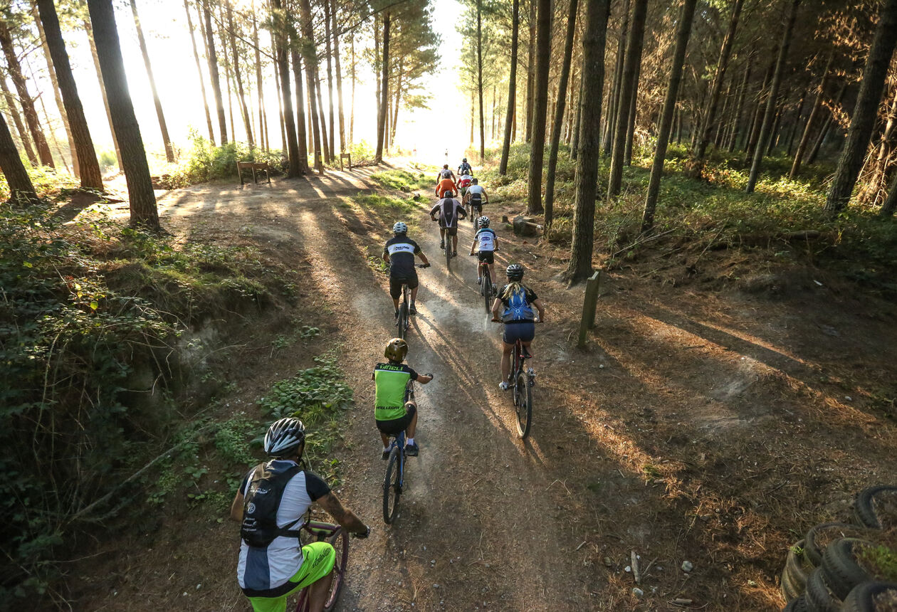 Taupō’s ancient volcanic lake and forested, often steamy surrounds are a stunning setting for some of New Zealand's best and fabulously free-draining trails.