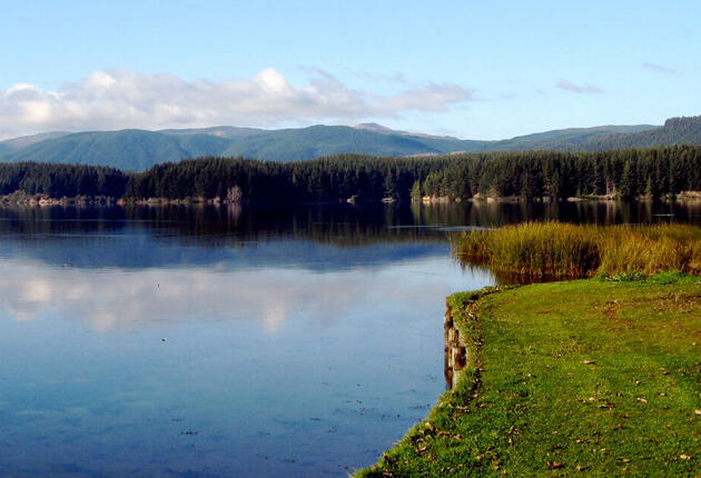 If you really want to get away from it all, take your fishing rod or mountain bike to Mangakino. This friendly little town is handy to three hydro lakes.