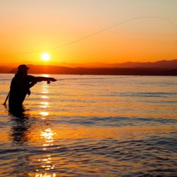 Fly fishing Great Lake Taupō
