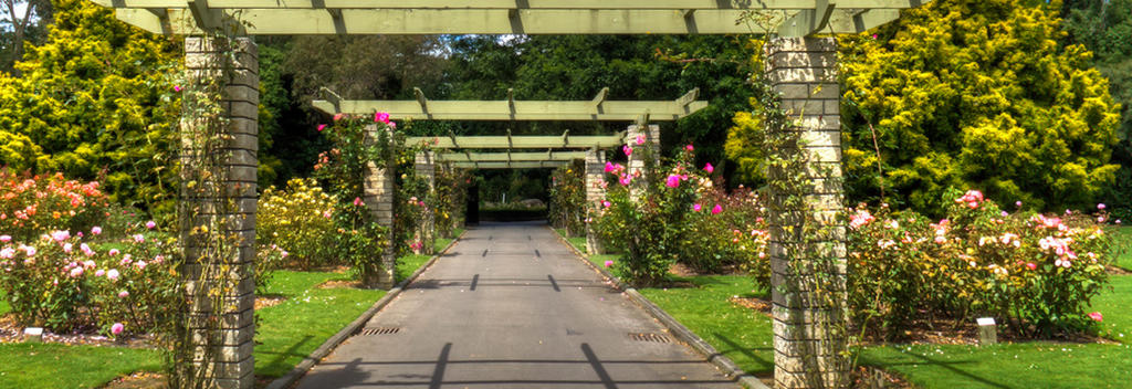 Straße zum Rosengarten