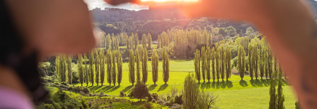 Pohangina Valley, Manawatū 