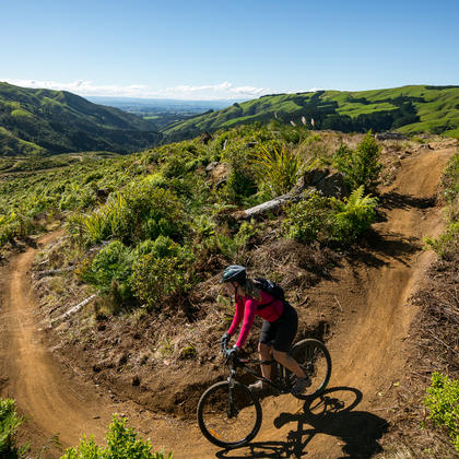 Arapuke Mountain Bike Park, Manawatū