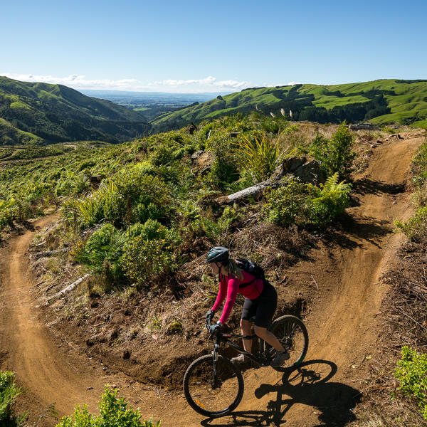 Arapuke Mountain Bike Park, Manawatū