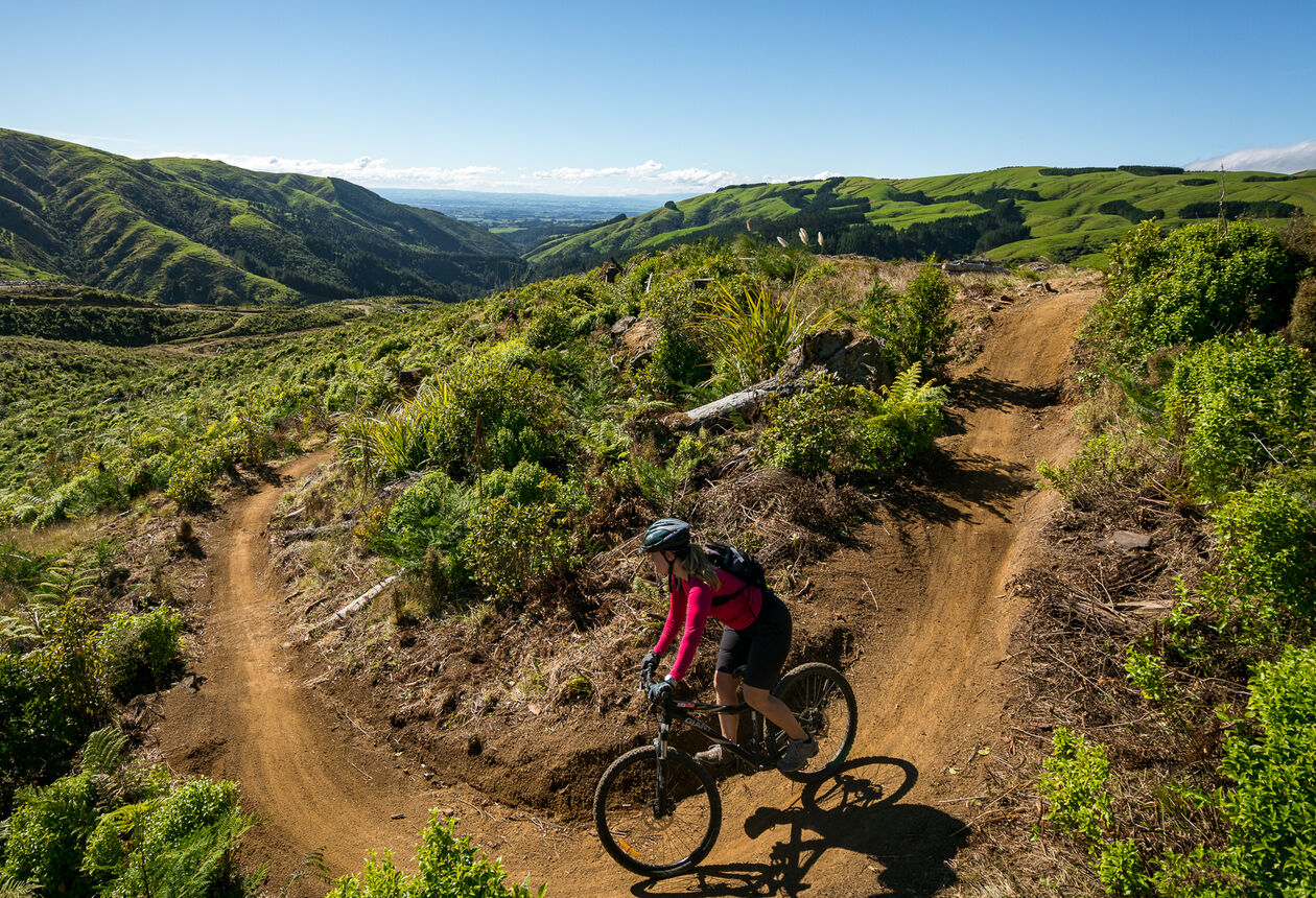 Manawatū, on New Zealand's lower North Island, is heartland New Zealand, offering an authentic Kiwi experience that's not to be missed.