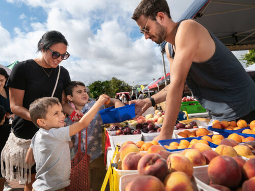 Feilding Farmers Market 