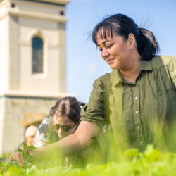 Feilding Farmers Market 