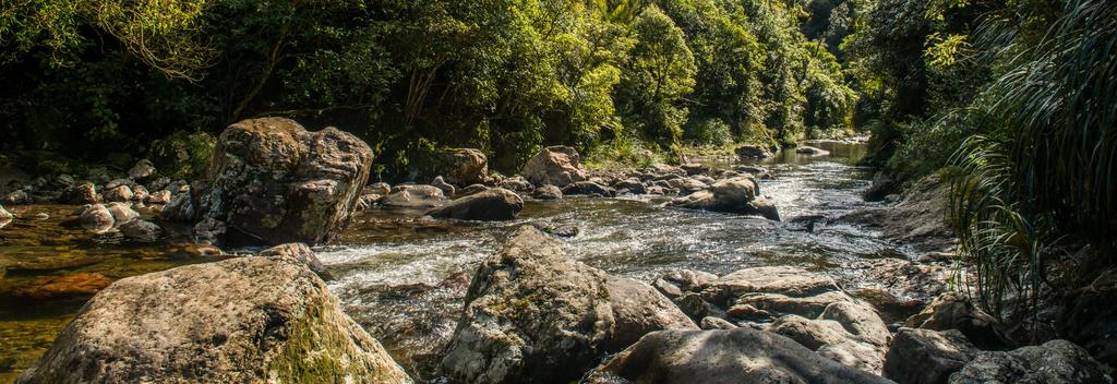 Kahuterawa Stream, Sledge Track