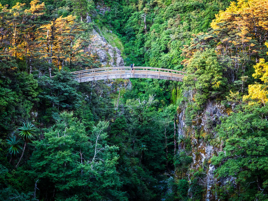 Rangiwahia Track Bridge 