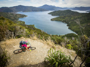 Go Mountain Biking in New Zealand Tourism New Zealand