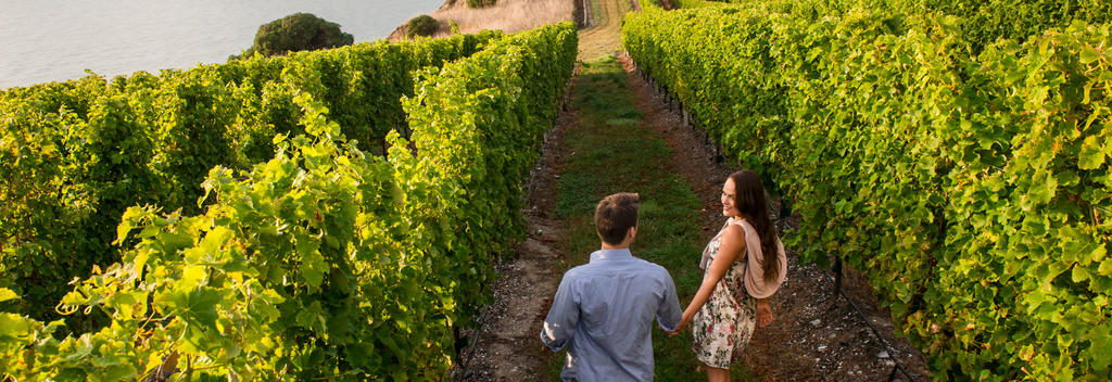 Marlboroughs Weinregion mit allen Sinnen genießen: Rund um die Sounds sind Weingüter, Restaurants und Speiseproduzenten von Weltklasse zu Hause.