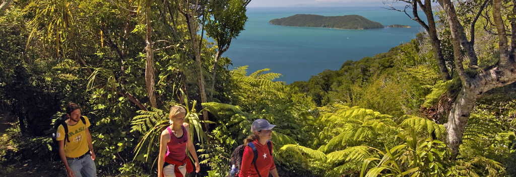 It takes four to five days to hike the entire Queen Charlotte Track, dotted with sandy beaches.